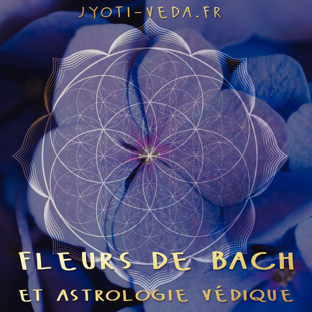 Lire la suite à propos de l’article Fleurs de Bach, Aromathérapie en astrologie védique