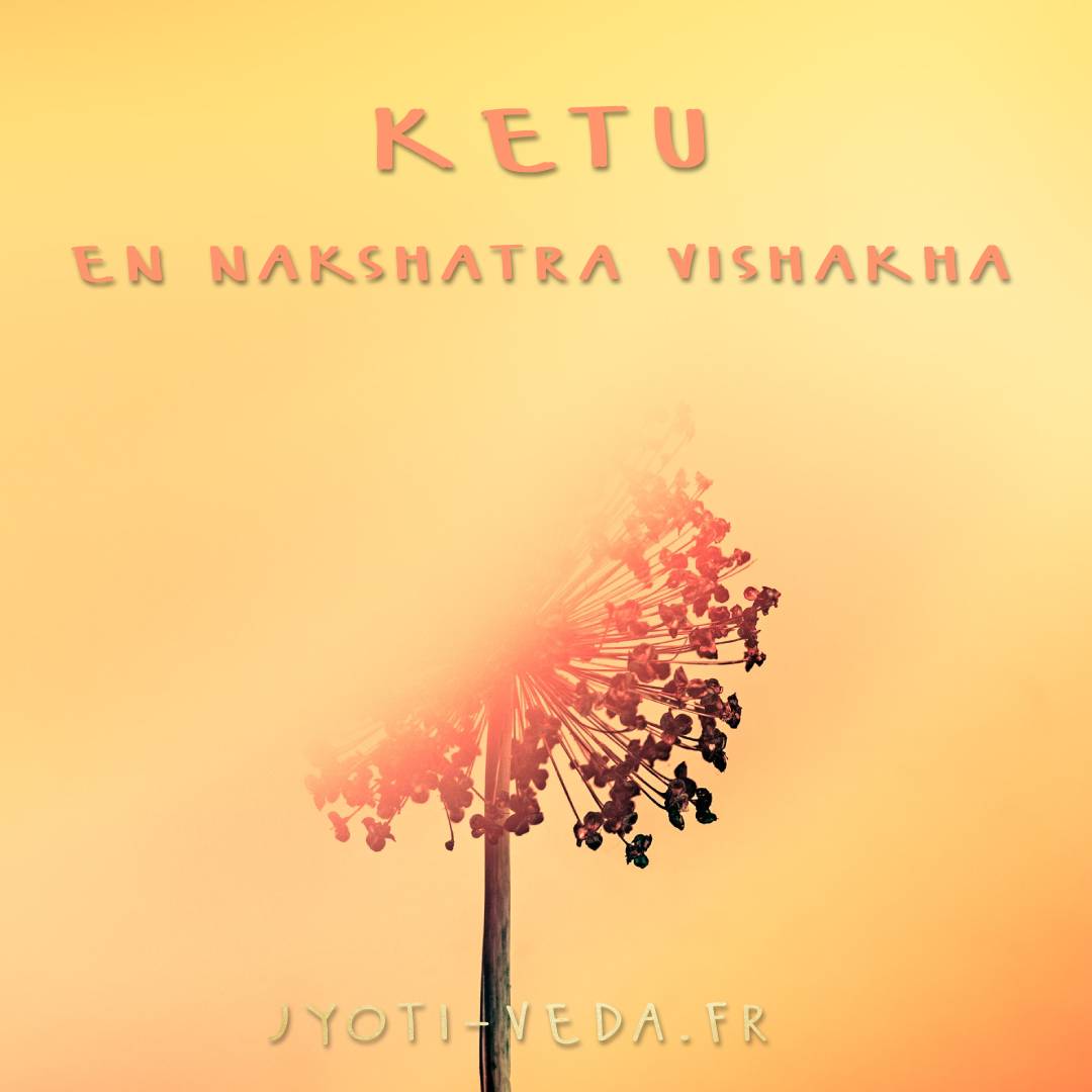 Lire la suite à propos de l’article Ketu en nakshatra Vishakha