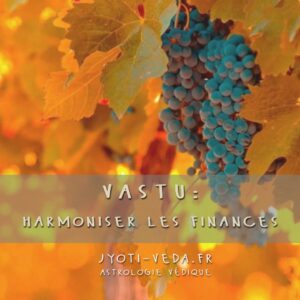 Lire la suite à propos de l’article Vastu : harmoniser les finances