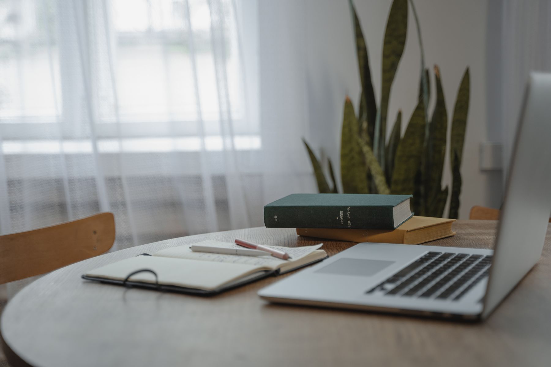 Bureau épuré avec ordinateur portable, carnet et plante d'intérieur